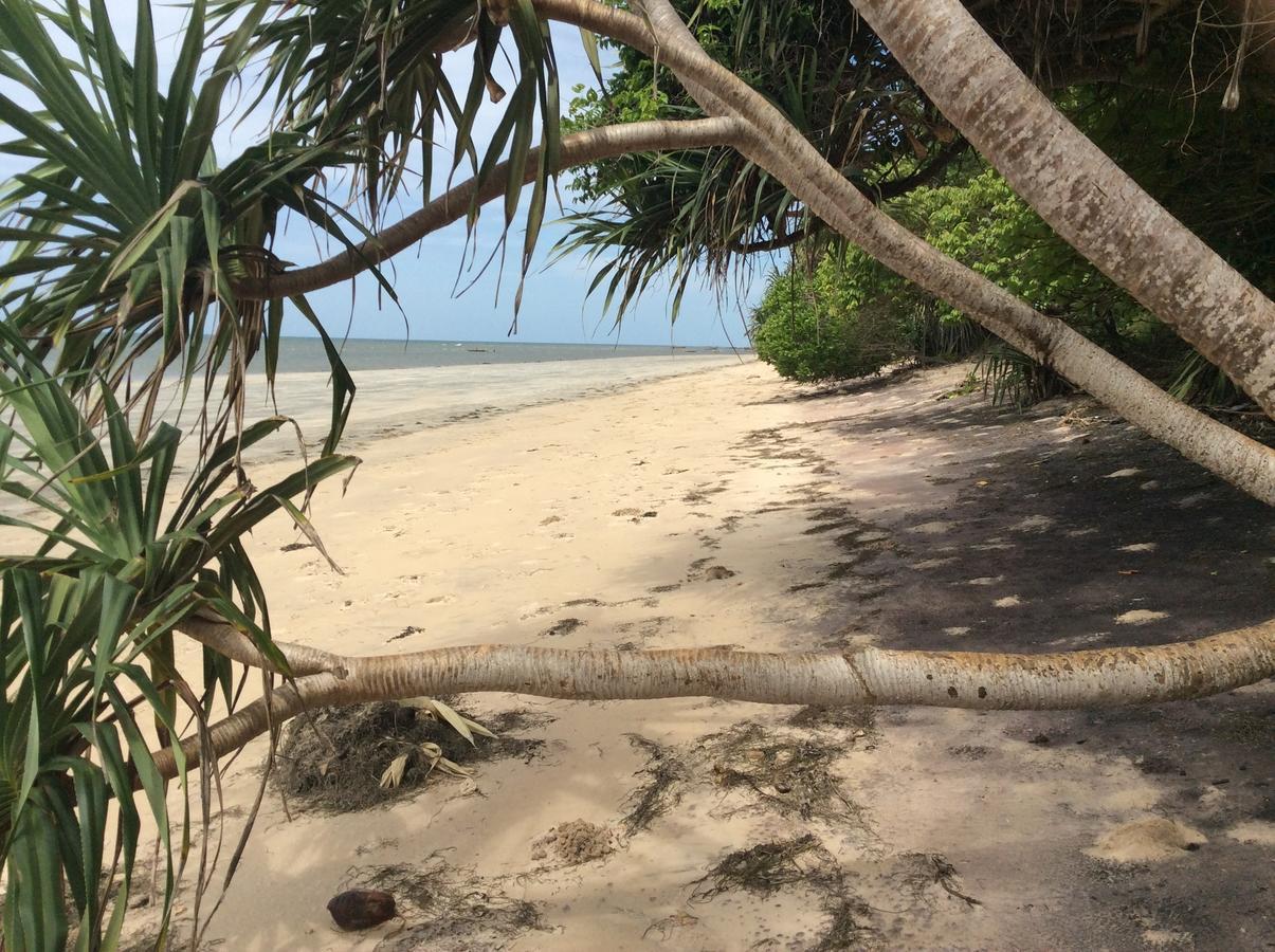 Peponi Beach Resort Pangani Ngoại thất bức ảnh