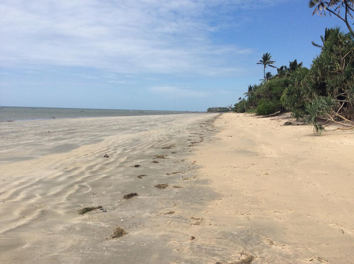 Peponi Beach Resort Pangani Ngoại thất bức ảnh