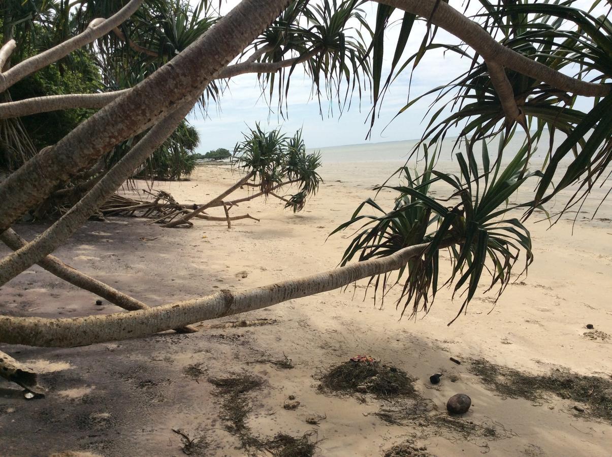 Peponi Beach Resort Pangani Ngoại thất bức ảnh