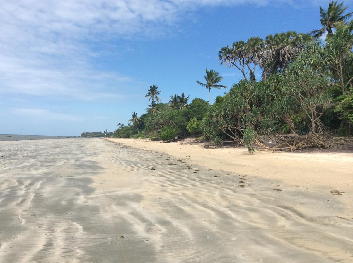 Peponi Beach Resort Pangani Ngoại thất bức ảnh
