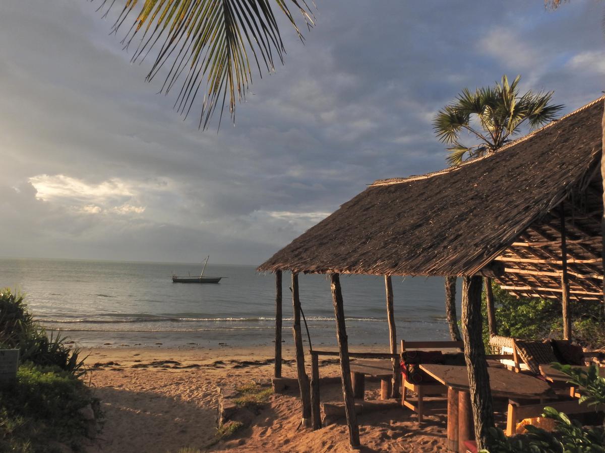 Peponi Beach Resort Pangani Ngoại thất bức ảnh