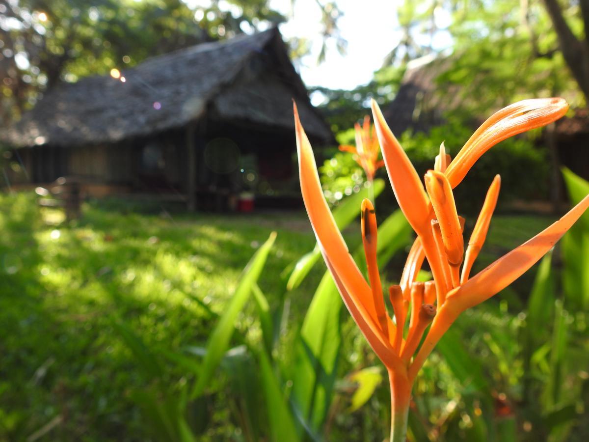Peponi Beach Resort Pangani Ngoại thất bức ảnh