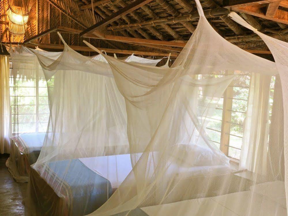 Peponi Beach Resort Pangani Ngoại thất bức ảnh